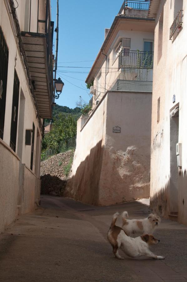 Casa Beatles Del Valle Pinos del Valle Екстериор снимка